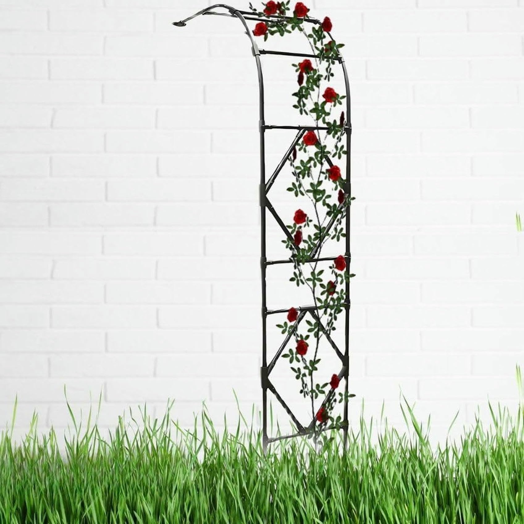 Arc de jardin pour plantes grimpantes 3x2,4m et rosier tuteur de fleurs extérieur noir