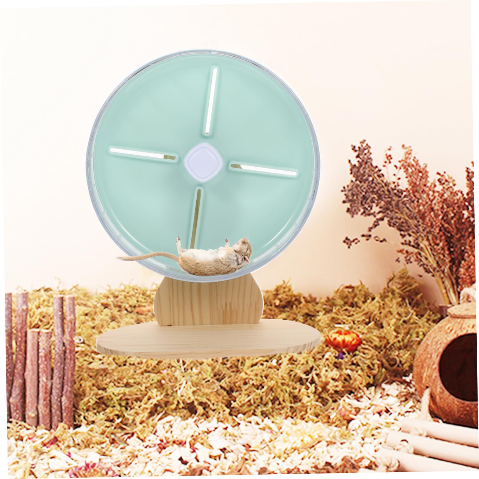 Luxshiny 1 Ensemble Roue de Course Silencieuse pour Petits Animaux Accessoire pour Hamster et Chinchilla Amusement Interactif et du Stress