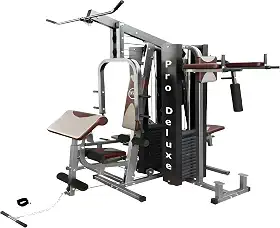 Multi Estação Pro Deluxe 204Kg Anilhas WCT Fitness Musculação Completa Treino Peito Perna Costa Supino Máquina Voador Barra Pulley Cadeira Extensora Banco Scott Legg Press Abdominal Paralela