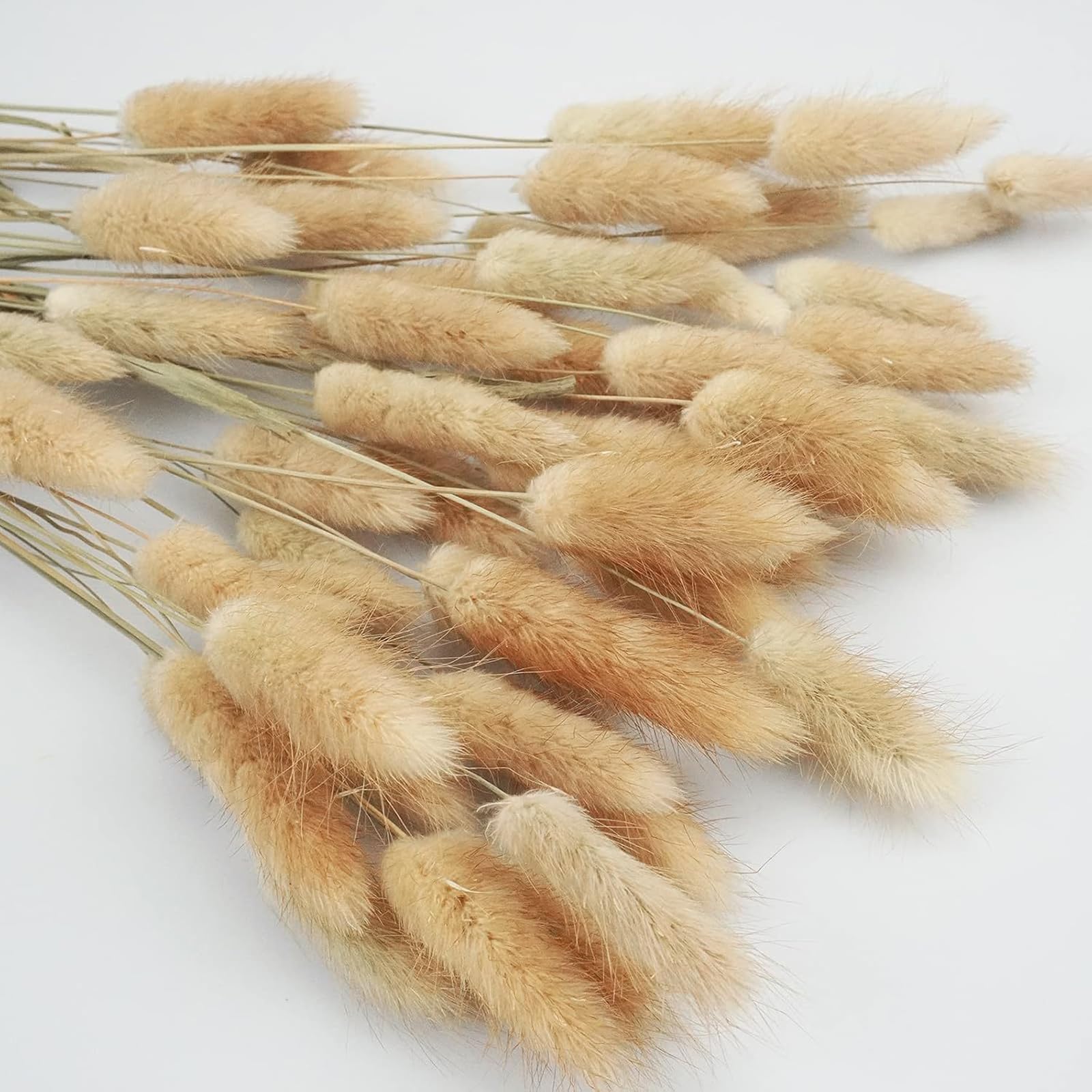 120 fiori secchi naturali di erba della pampa, fiori secchi da 43 cm, fiori secchi per decorazione, erba della pampa in massa alta, coda di coniglio, fiori secchi per matrimoni bohémien
