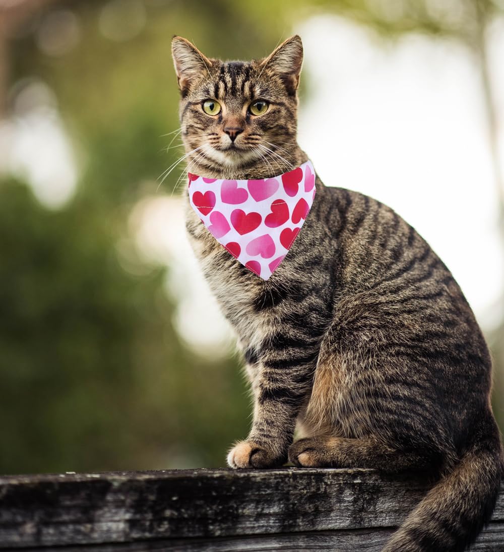 Valentine Katzenhalsband mit Halstuch, Glöckchen, verstellbar, für kleine Hunde, Welpen, Mädchen und Jungen
