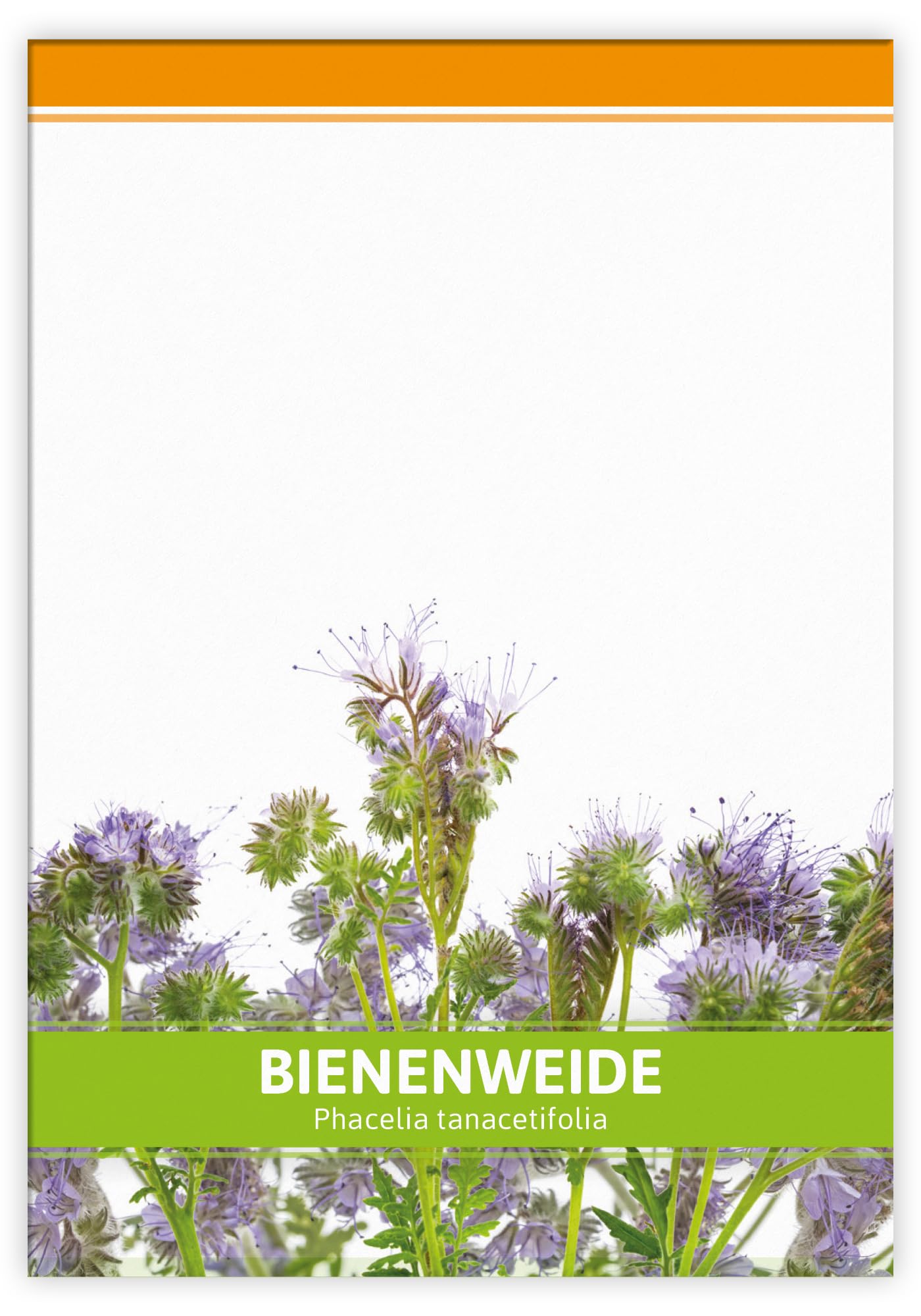 FLORTUS Bienenweide für Gastgeschenke (100 Stück) | Phacelia Blumensamen für Bienen & Insekten als Dankeschön Geschenke & Werbegeschenke