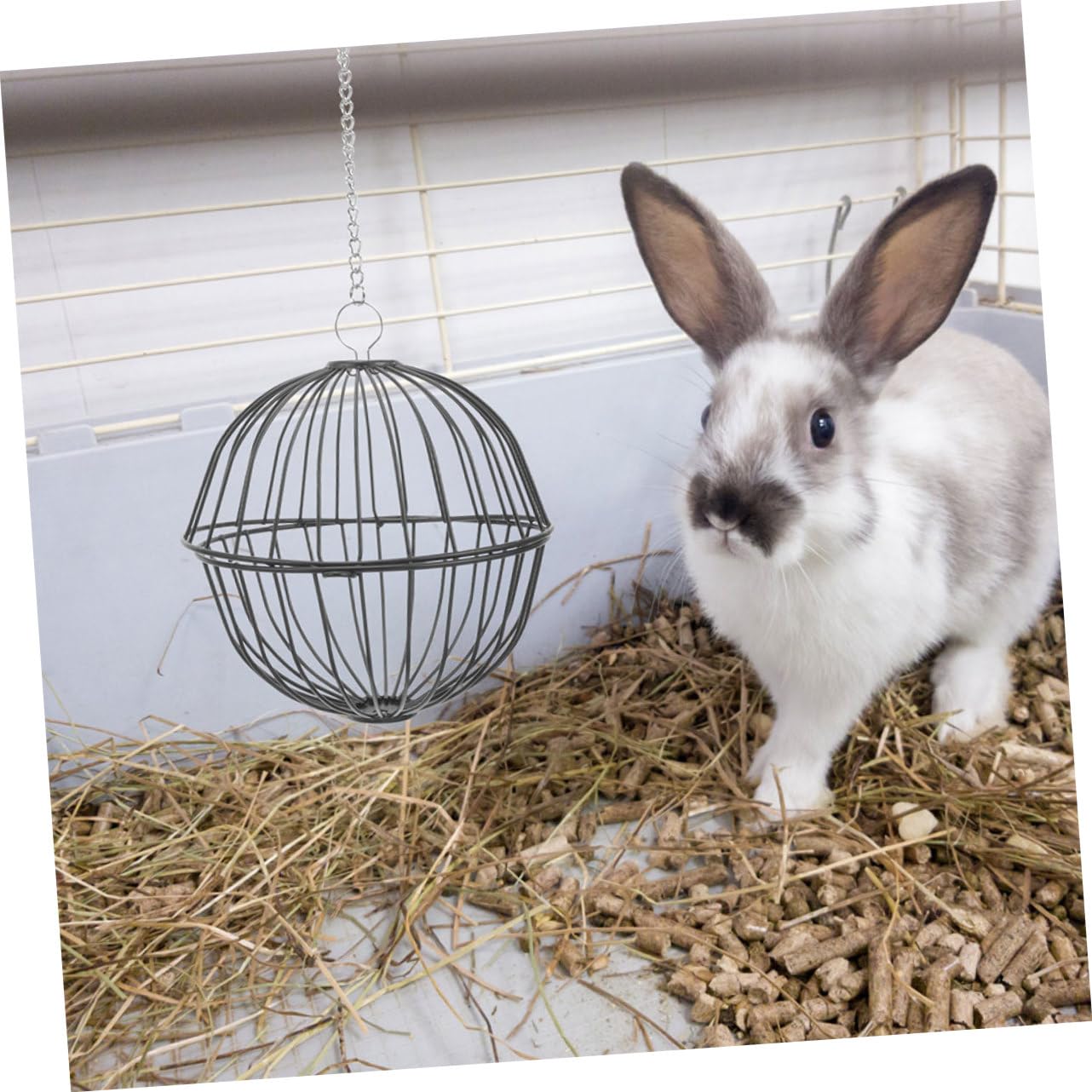 4stücke Hängende Heuball-futterspender Für Kaninchen Meerschweinchen Hamster Und Chinchillas Edelstahlkonstruktion Spielzeug Und Futterhalter Fördert Und Spiel Beim Fressen