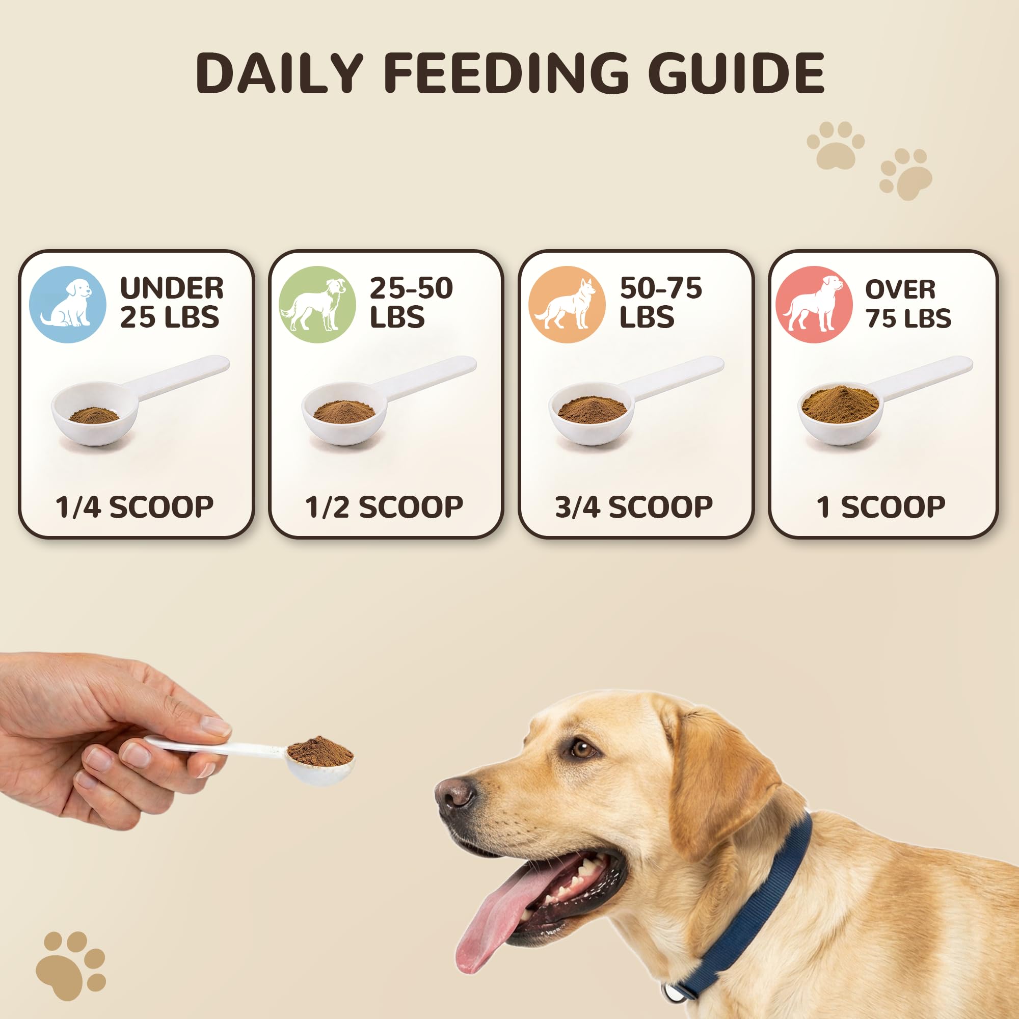 Turkey Tail Mushroom for Dogs & Cats, Organic Immune Support — Amazon image 7