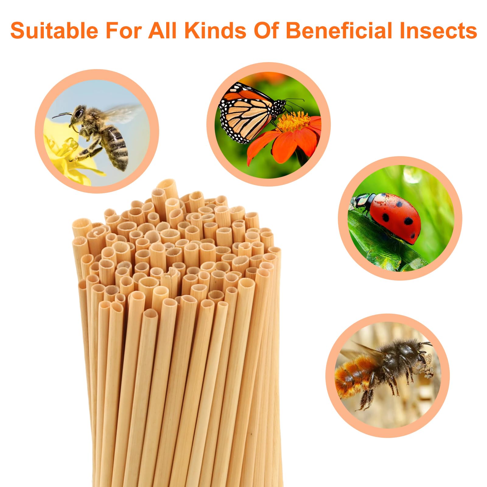 500 Pièces Tubes en Bambou, Tubes de Nidification en Carton, 14.5cm, Manchons de Nidification, Matériau de Remplissage pour Hôtel à Insectes, Maison à Insectes, Abeilles Sauvages