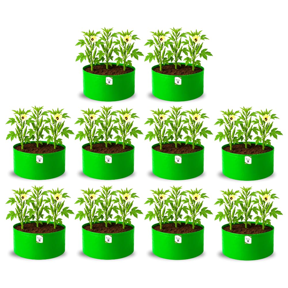 Big Fruit Plant Grow Bags - Organic Bazar (Pack of 2) -16 Big Fruit Plant Grow Bags - Organic Bazar (Pack of 2) -16