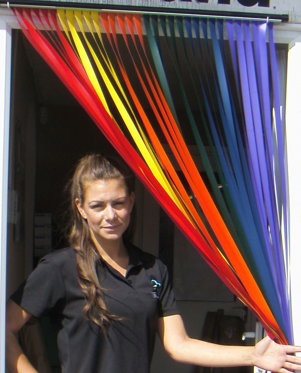 Holland Plastics Original Brand Heavy Duty Caravan/Rv Door Curtain Bug Fly Strip Blind 62Cm Wide 'Rainbow'