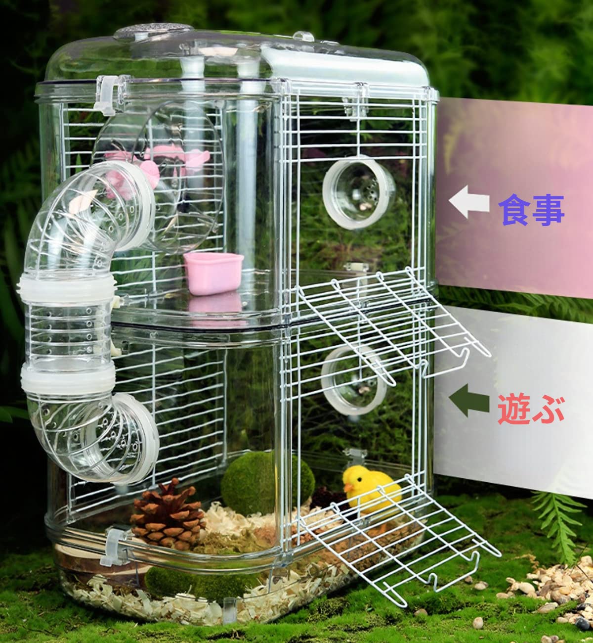 Amazon | Molioon ハムスターケージ 小動物ケージ 2段階 透明 広々