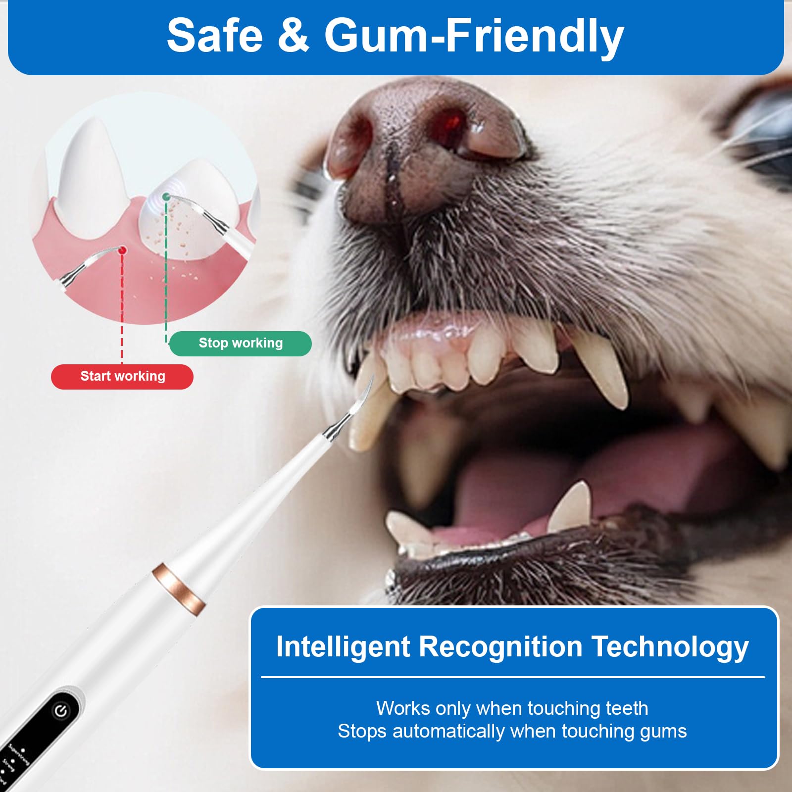Limpiador Dental Ultrasónico para Perros y Gatos Blanco – 5 Modos con LED, Detección de Encías, IPX7, Recargable USB-C, Kit Completo