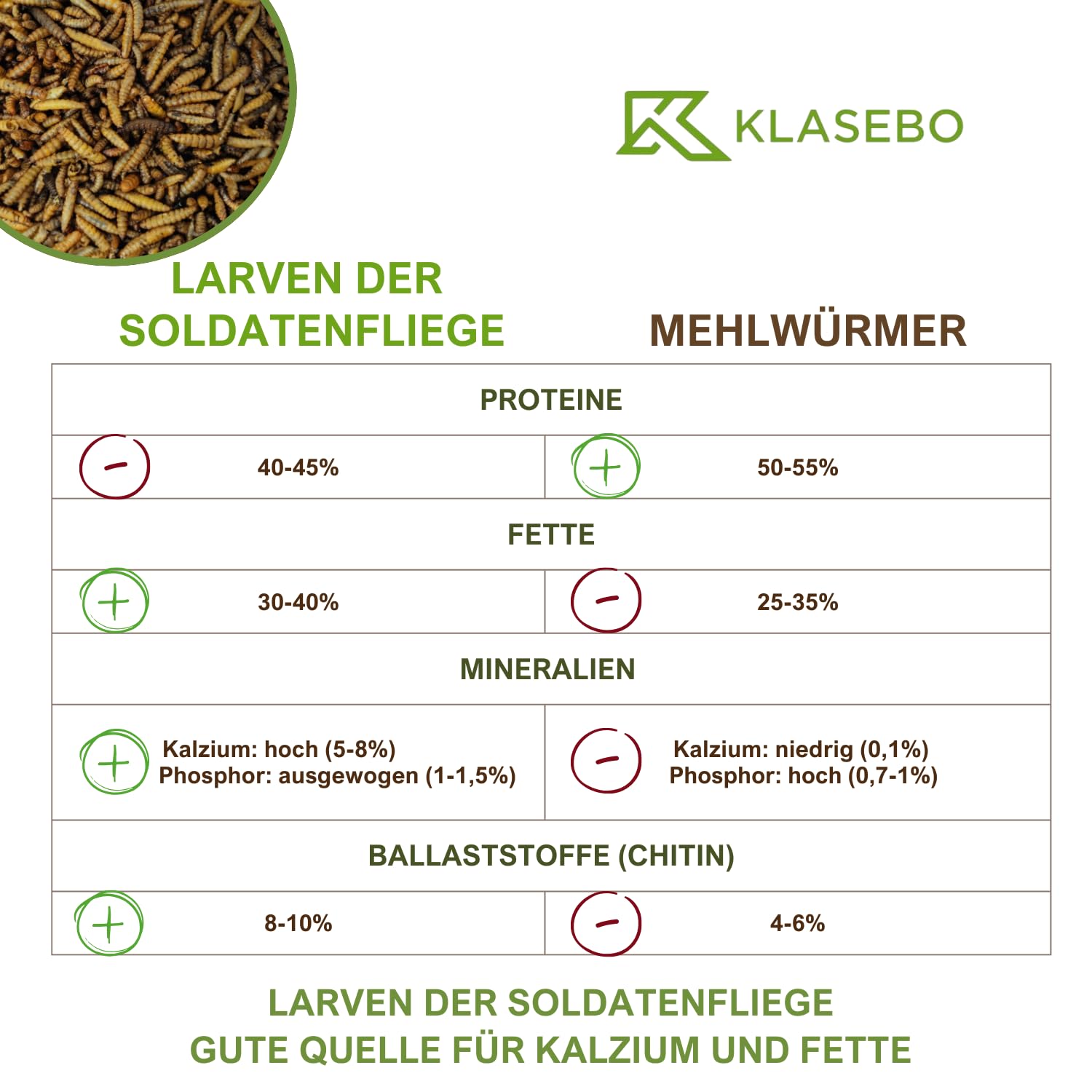 Soldatenfliegenlarven getrocknet (Hermetia illucens), für Vögel, Hühner, Igel, Reptilien, Fische (5 kg)