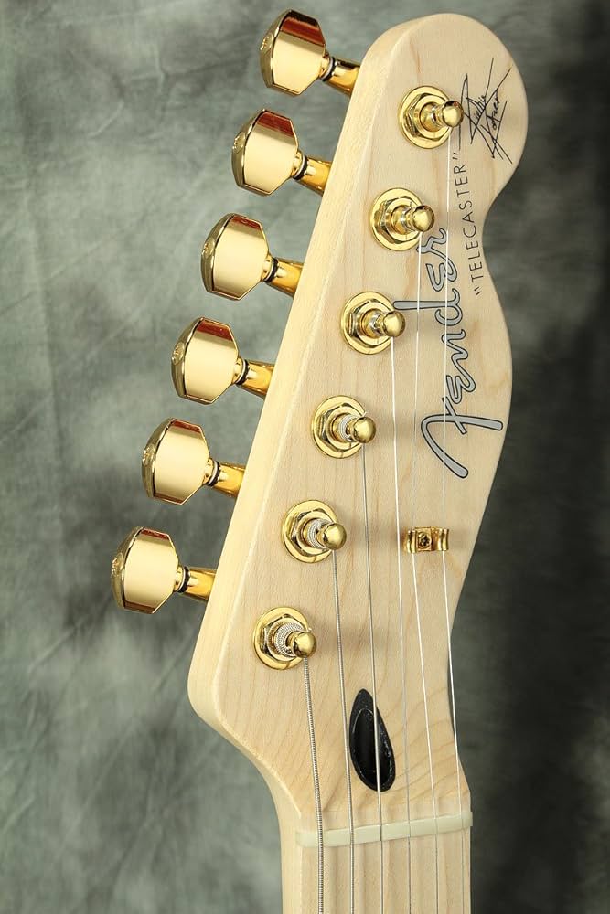 hosino　fender Richie Kotzen　テレキャスター Richie Kotzen Telecaster® – Fender