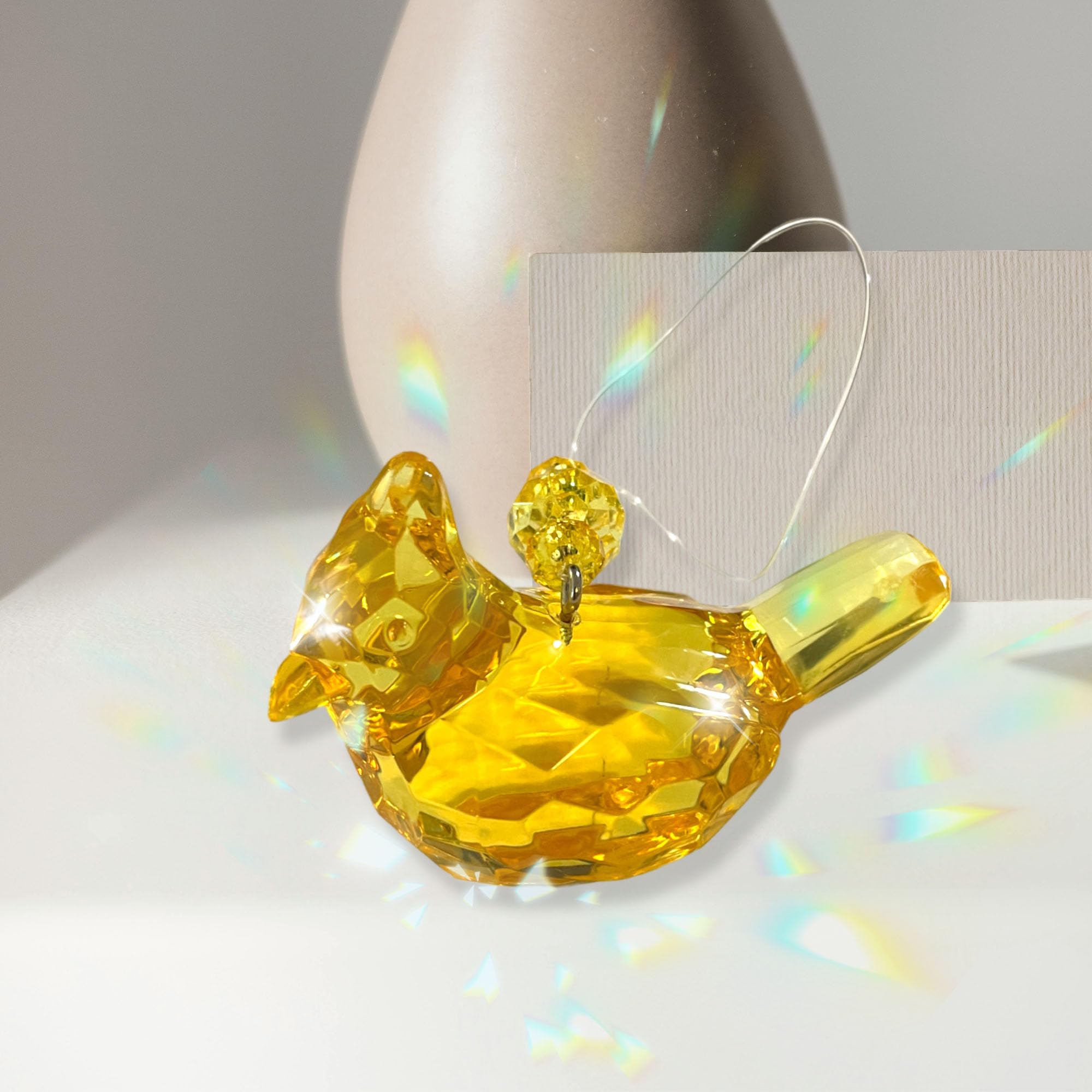 Cardenal Amarillo: Nace Una Esperanza 🐦✨ Hace Pocos Días Tuvimos El Privilegio De Ser Testigos De Un Evento Muy Especial, Hoy Te Contamos Su Historia. 👇 Entre Octubre De 2020 Y Abril