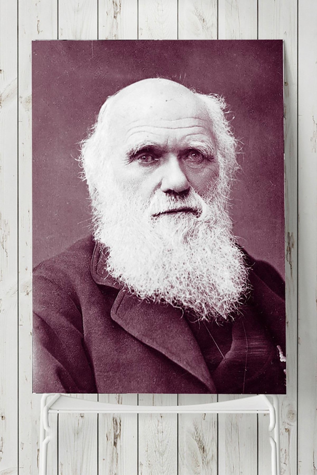 Postermanya (pster3589) Darwin Bilimsel Poster 2 (90x130cm)