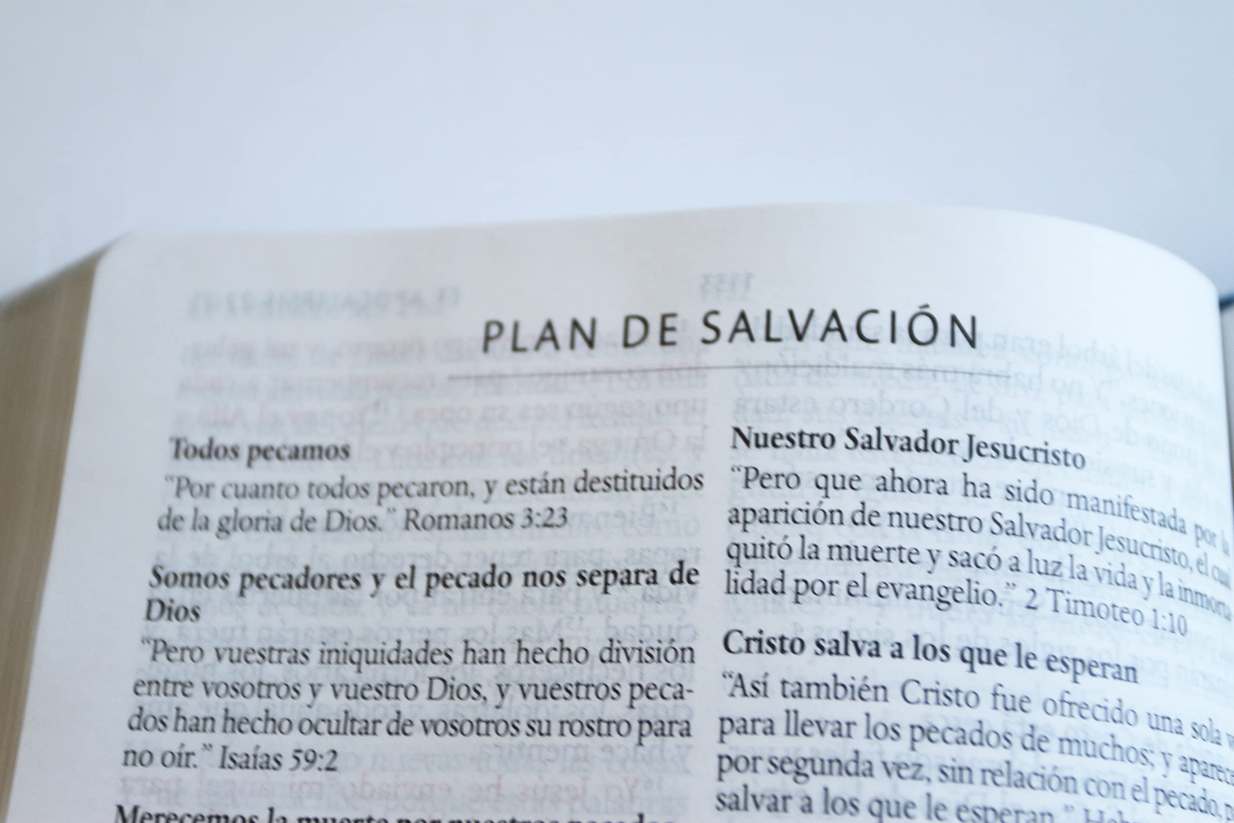 Santa Biblia / Holy Bible: Reina-Valera 1960, canelacon, simil piel, con nombres de Dios / Reina-valera 1960, Brown, Leathersoft With Names of God
