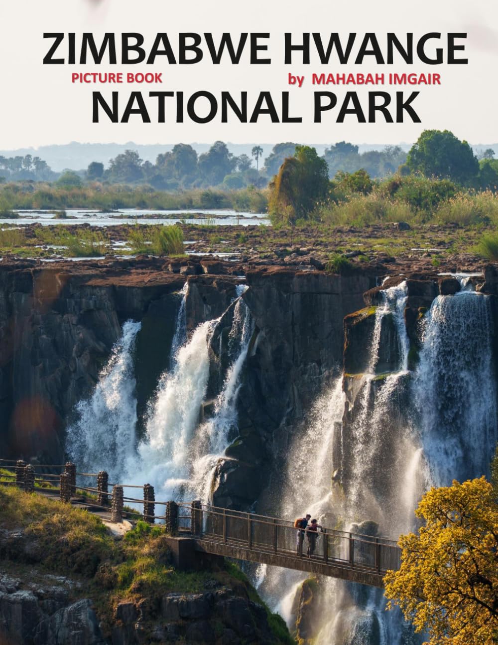 Zimbabwe Hwange National Park: A Stunning Coffee Table Photo Book for Travel and Tourism Enthusiasts
