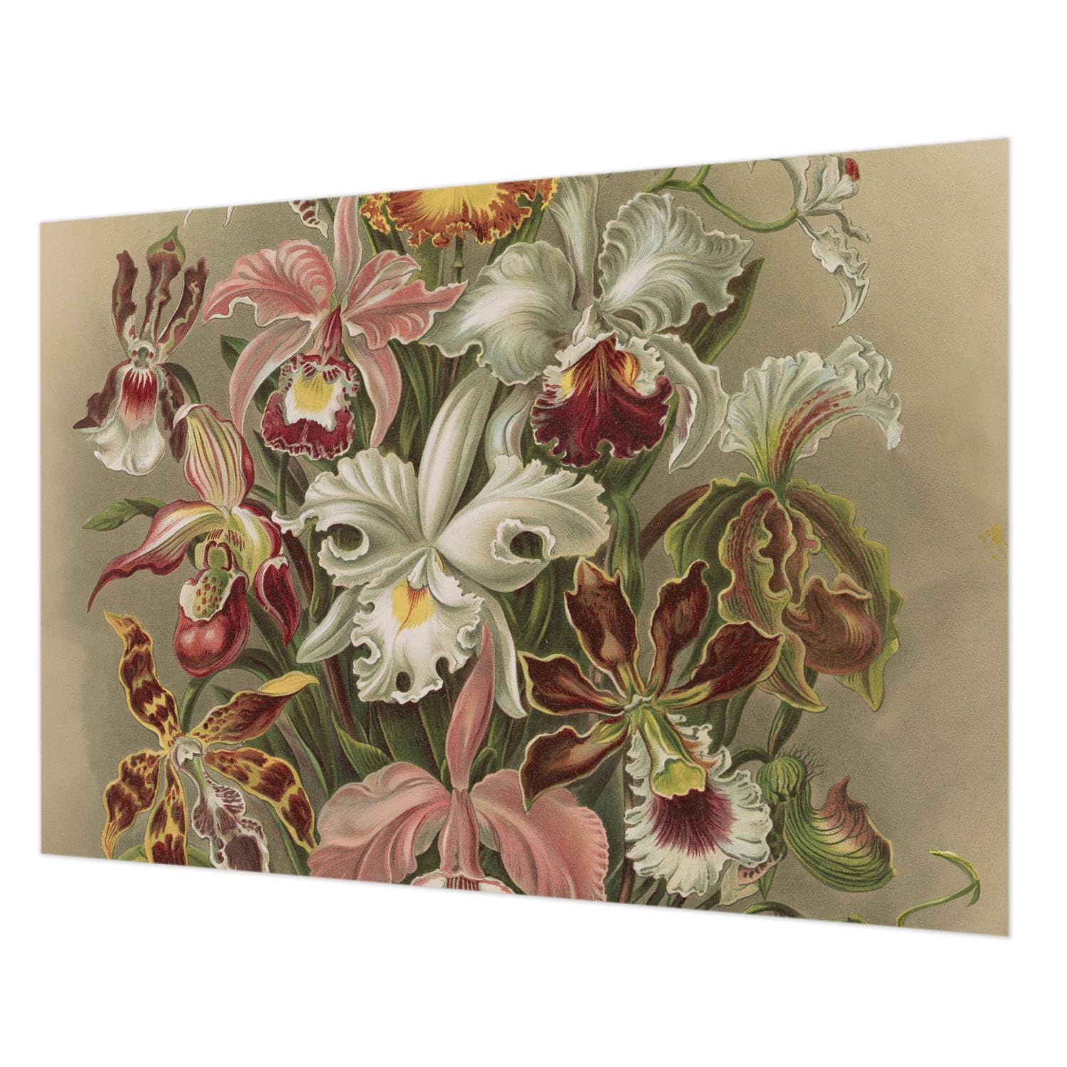 Papier peint intissé décoration intérieure salon et chambre floral 208x146