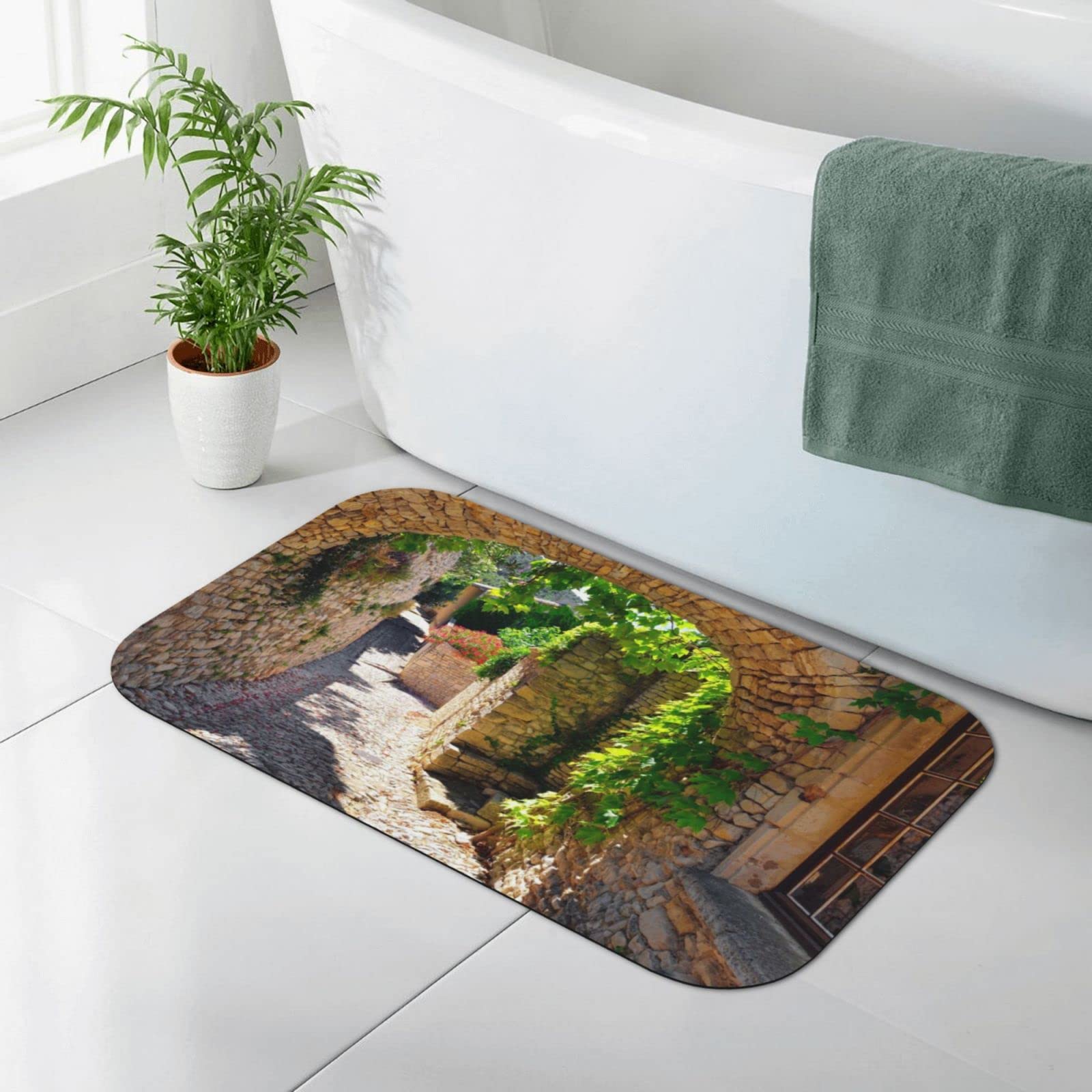 Tapis de diatomée antidérapant à séchage instantané respectueux de l'environnement Motif paysage 50 x 80 cm