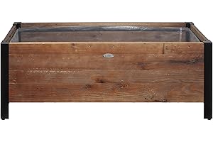 MO 11973LU: An Elevated Choice for Urban Gardens