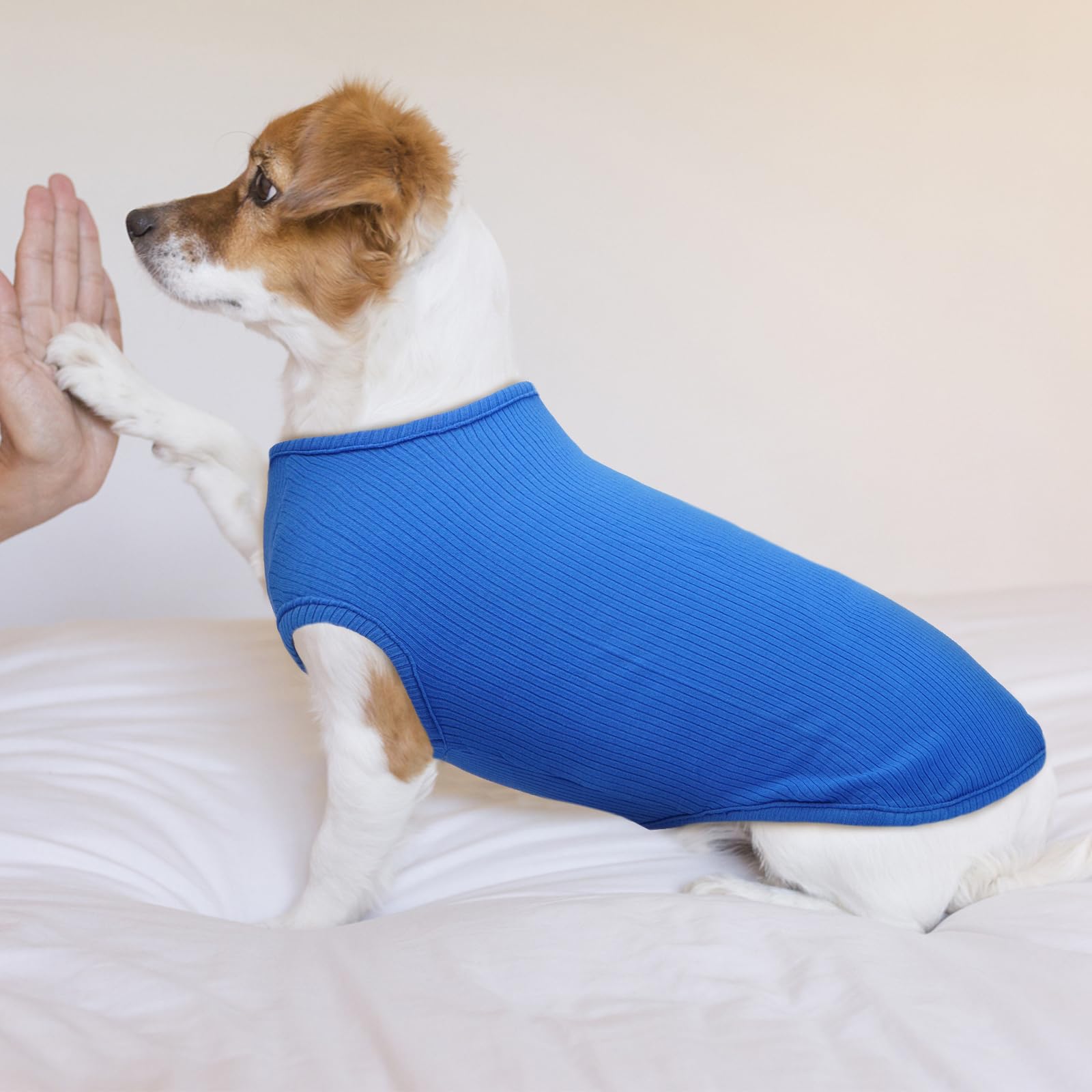 Maglietta Cane - Magliette per Cani Sottile Maglione Estiva Cane Taglia Piccola Maglia per Cani, Maglioncino a Righe Maglia Elastico (Blu zaffiro XXS)
