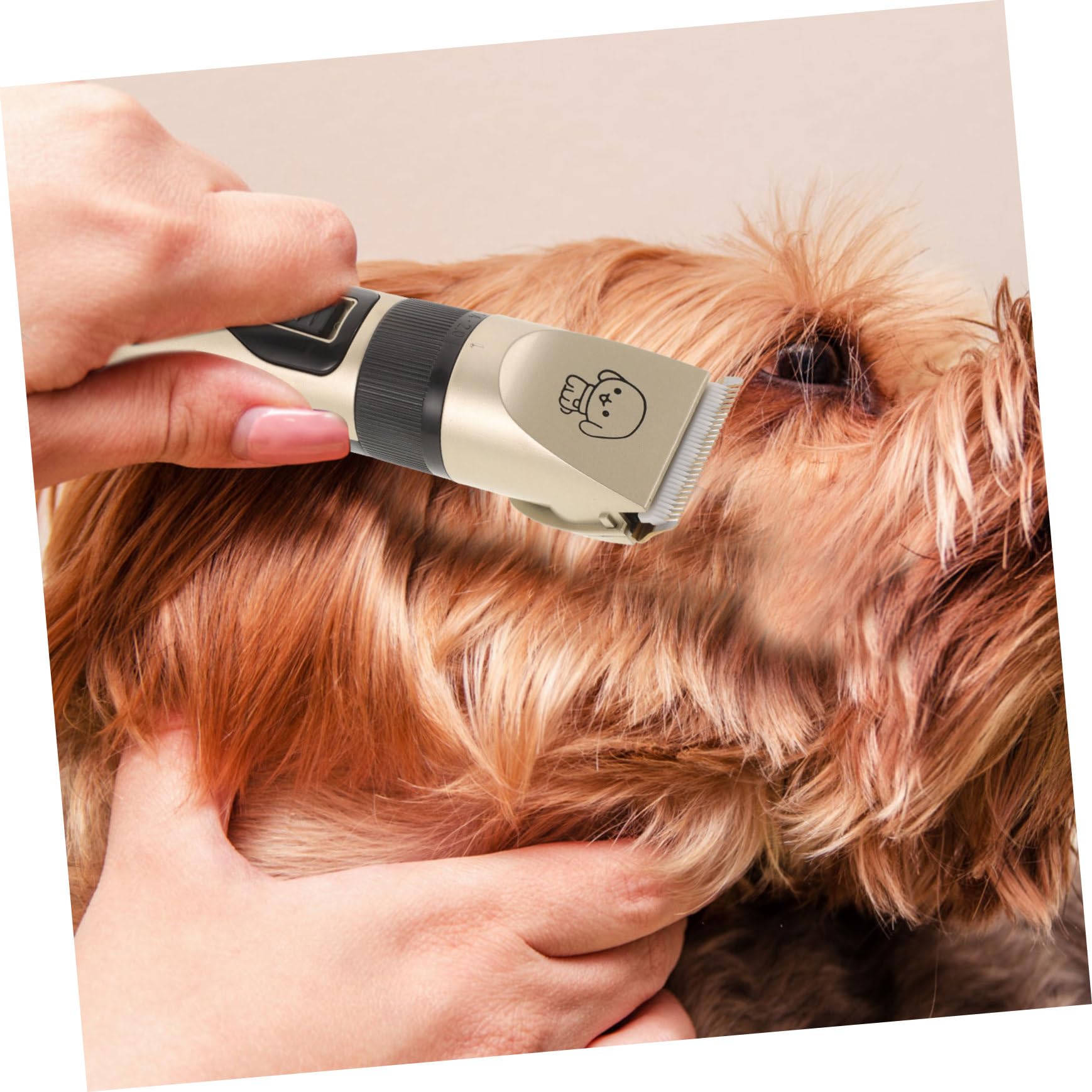 Tagliapeli Elettrico per Cani e Gatti, Set 4 Pezzi, 1200mah | Alimentazione Via Cavo, Prevenzione della Ruggine, Materiali Ceramica, Metallo e Abs