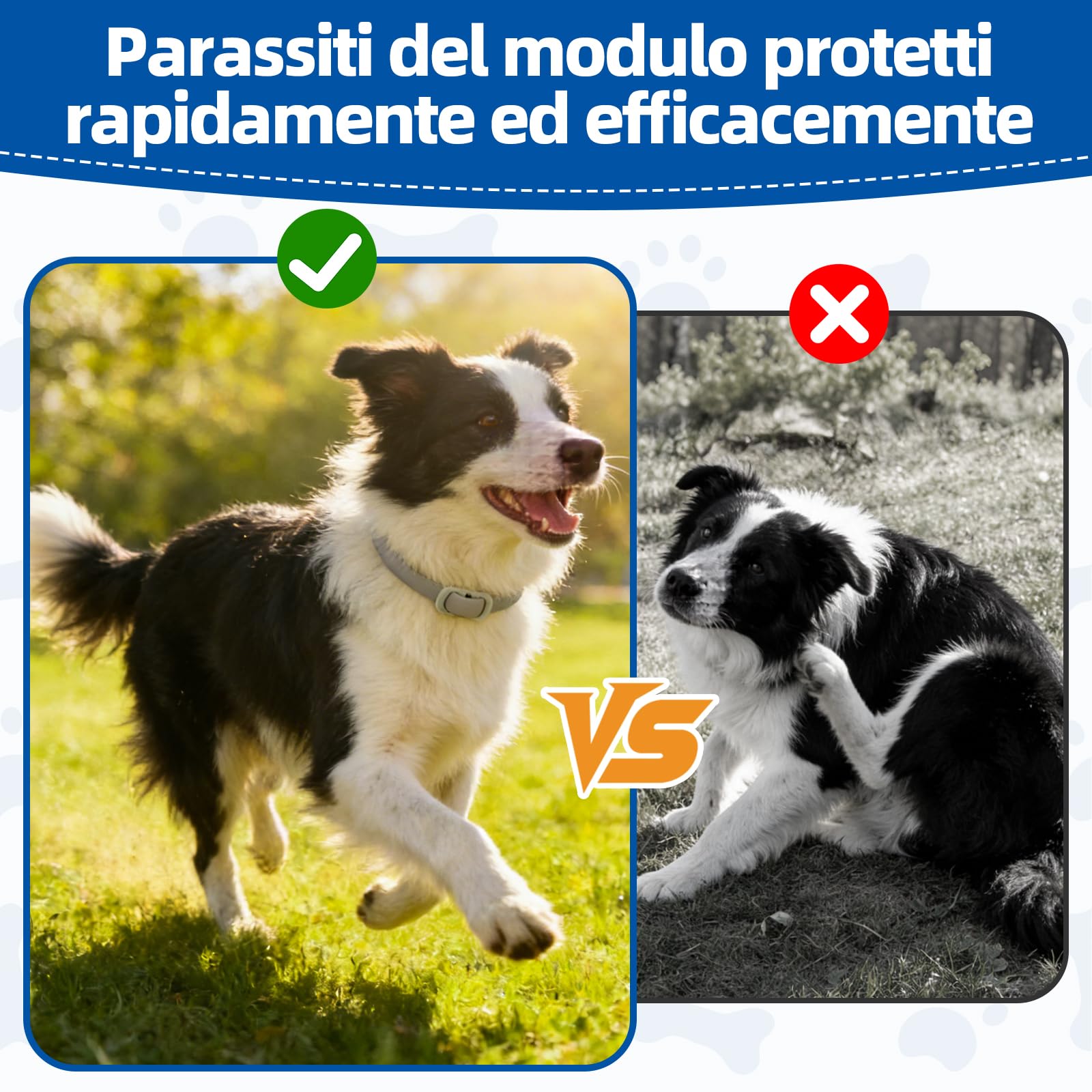 Collar Antiparasitario Perros, Collar Regulable y Resistente al Agua por 12 Meses, Repelente Duradero para la Prevención de Parasitas en Razas Pequeñas, Medianas y Grandes (65 cm) — view 4