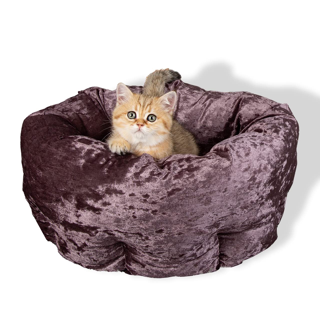 Amazon.co.jp: ベルベット ドーナツ ベッド (パープル)直径約45×高さ