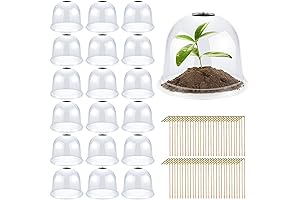 Reusable Mini Greenhouse Garden Cloche Domes for Plants