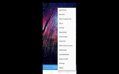 FAST BROWSER