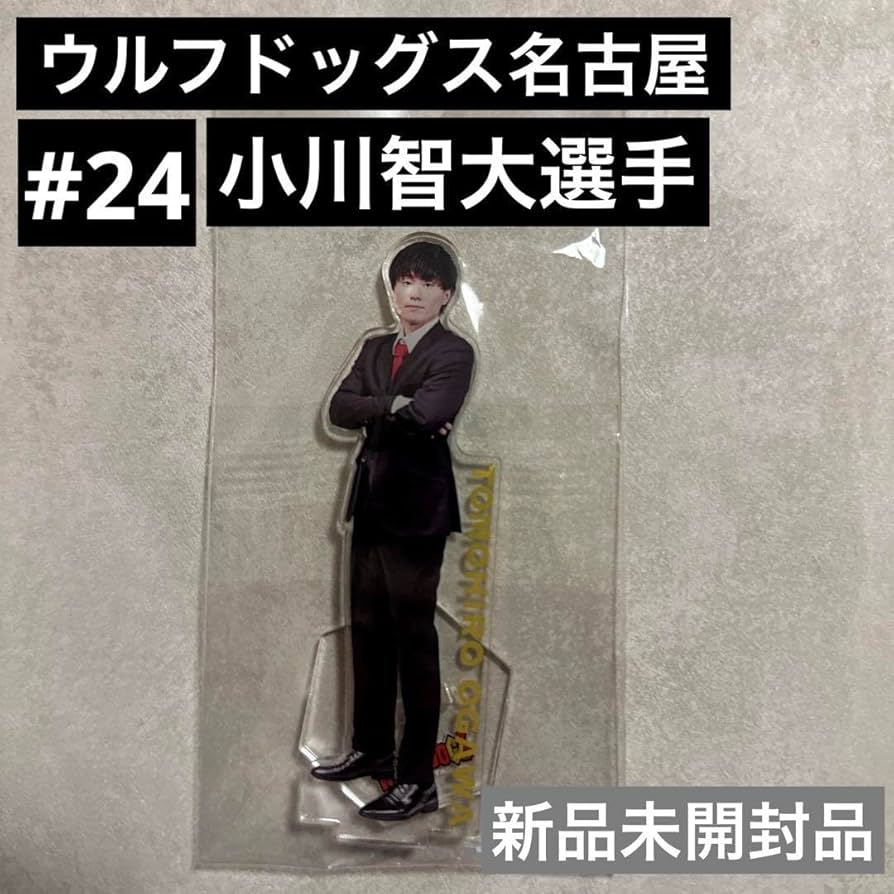 Amazon.co.jp: ウルフドッグス名古屋 #24 小川智大選手 スーツアクスタ