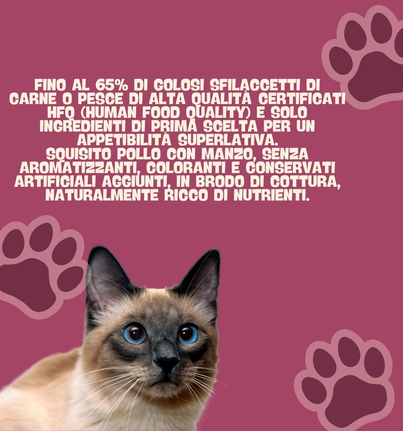 Oasy Húmedo Gato Natury Cooking Broth Sabor Pollo con Carne de Res Suave Filete Natural en caldo de cocción para gatos adultos de todos los tamaños y razas | 12 latas de 85 gramos cada una.