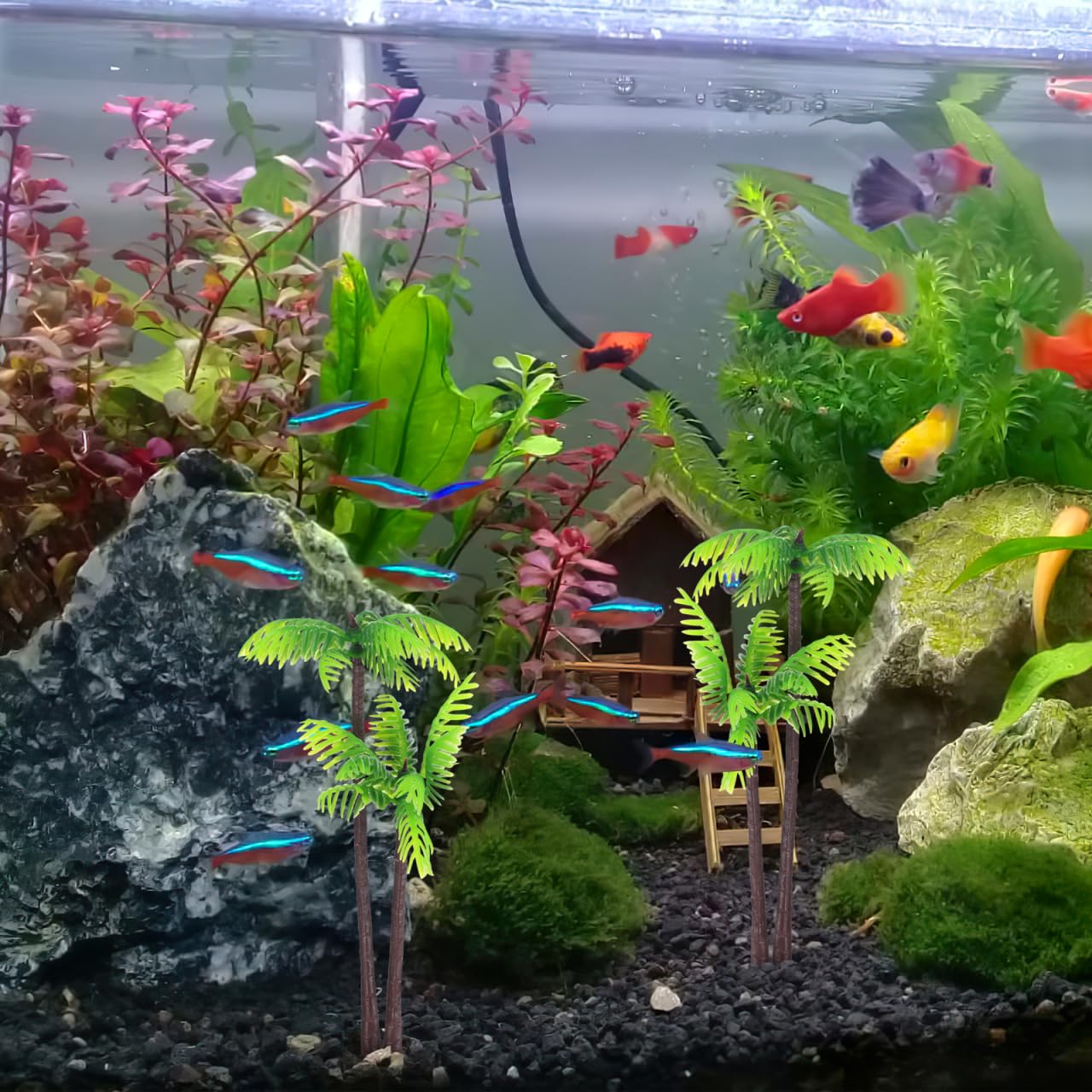 View 8