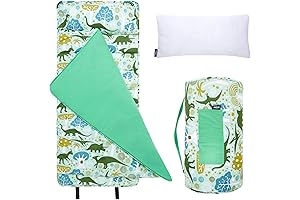 Wildkin Original Nap Mat with Reusable Pillow for Toddlers (Dinomite Dinosaurs)
