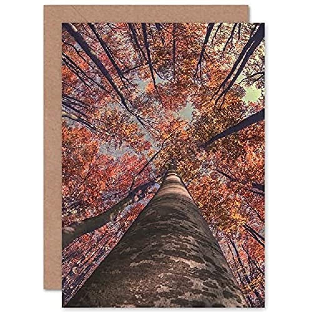 Artery8 Birch Forest In Autumn Greeting Card Brown