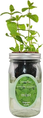 kit de cultivo hidropónico de hierbas, con autorriego, para jardín, para uso interior, para principiantes, cultiva tus propias hierbas