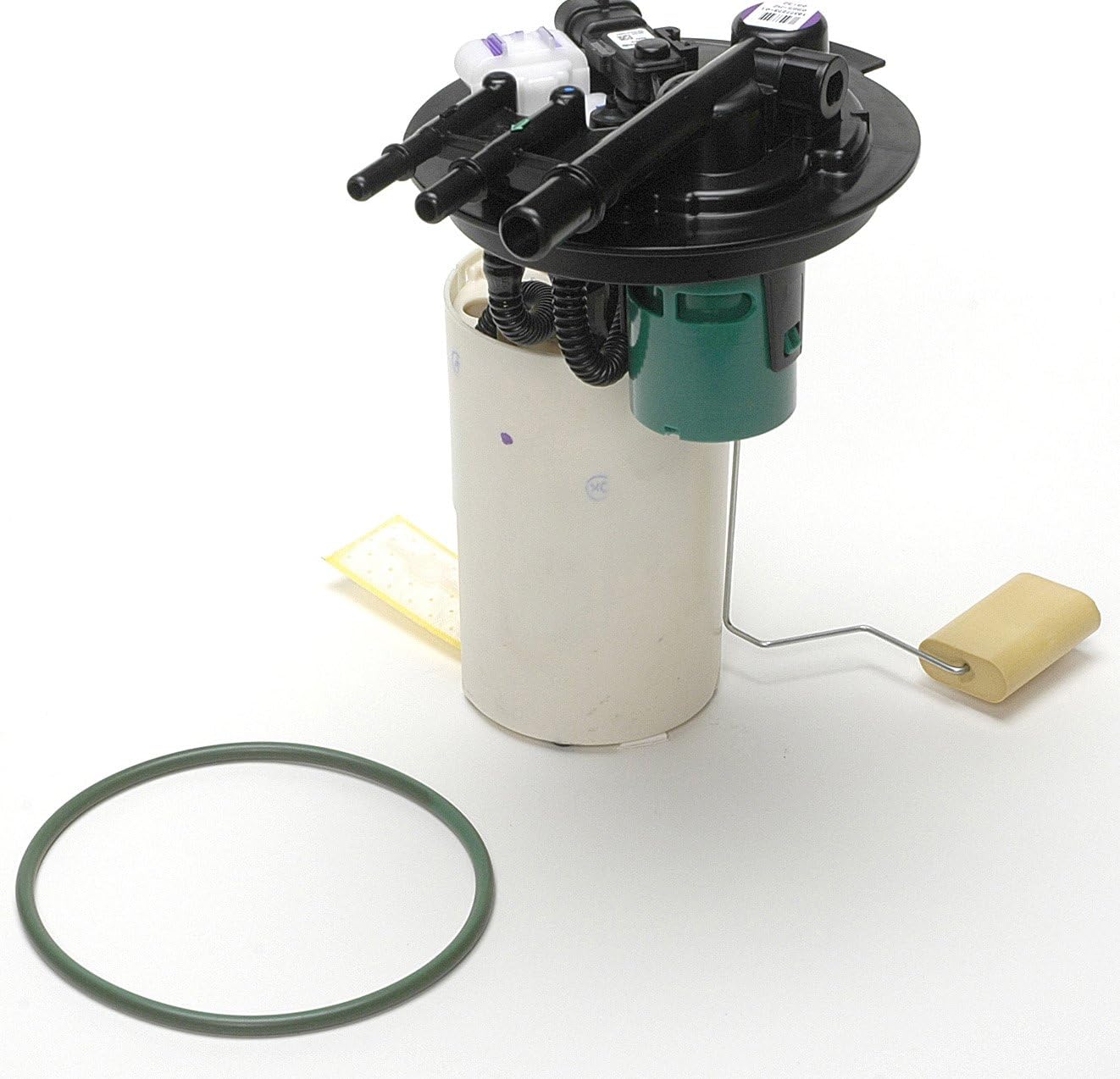 Delphi FG0385 Fuel Pump Module