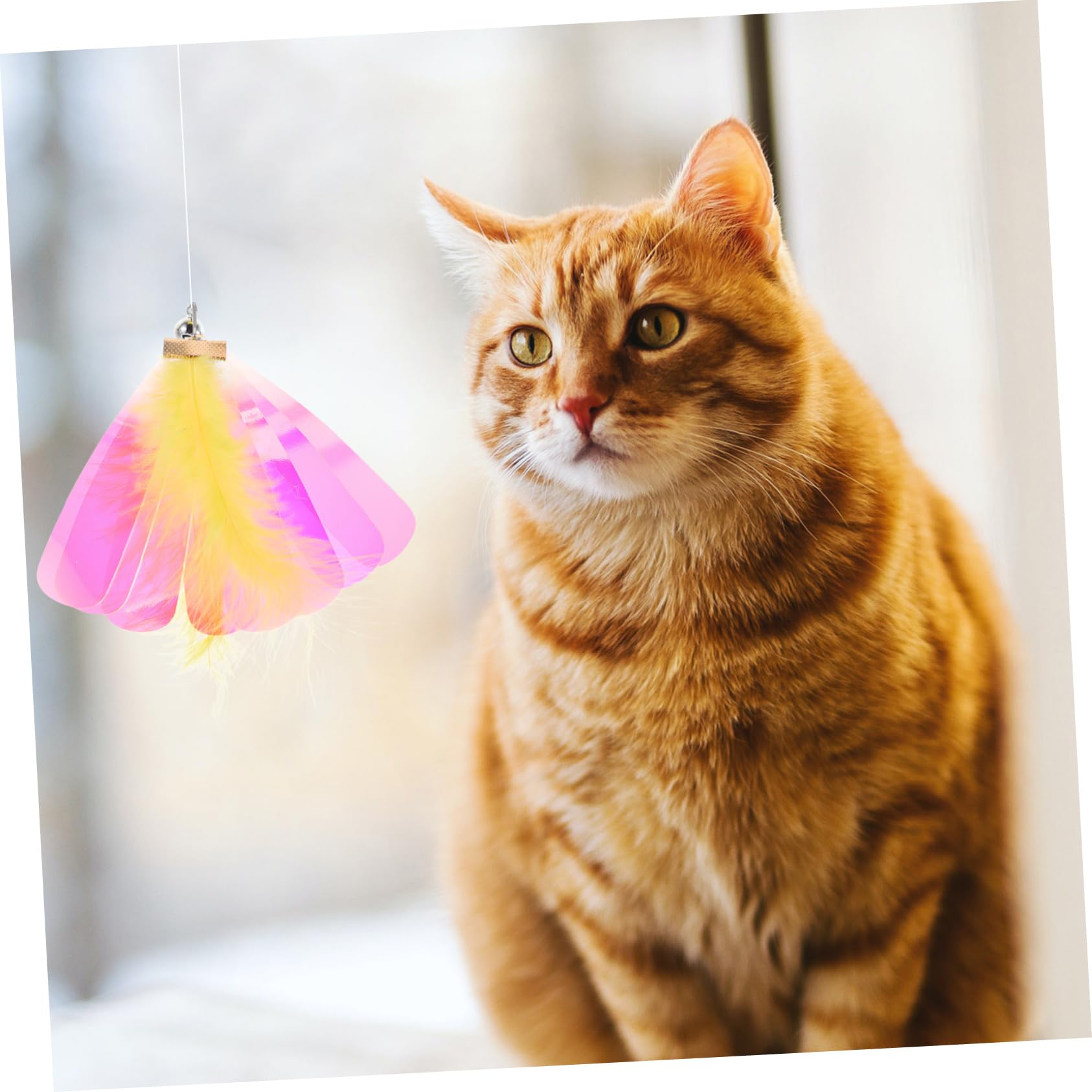 VANZACK 40stücke Katzenangel Ersatzspielzeug Interaktive Katzenangel Mit Libellen Und Schmetterlingsköpfen Für Katzenminze Und Spielvergnügen Fördert Und