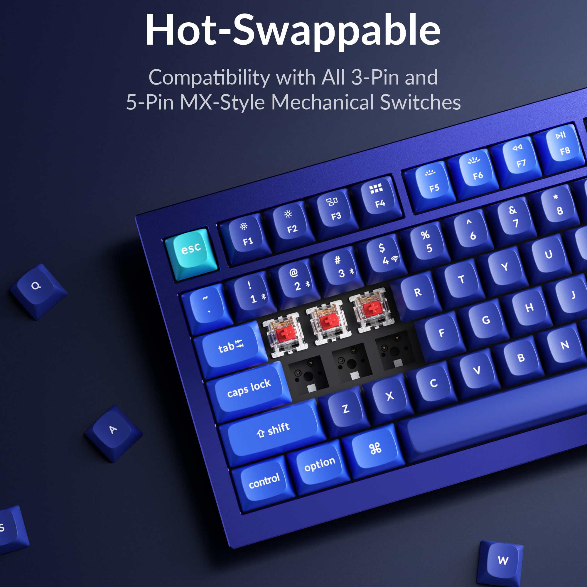 Amazon.com: Keychron Q1 RGB Wired Custom Mechanical Keyboard Knob