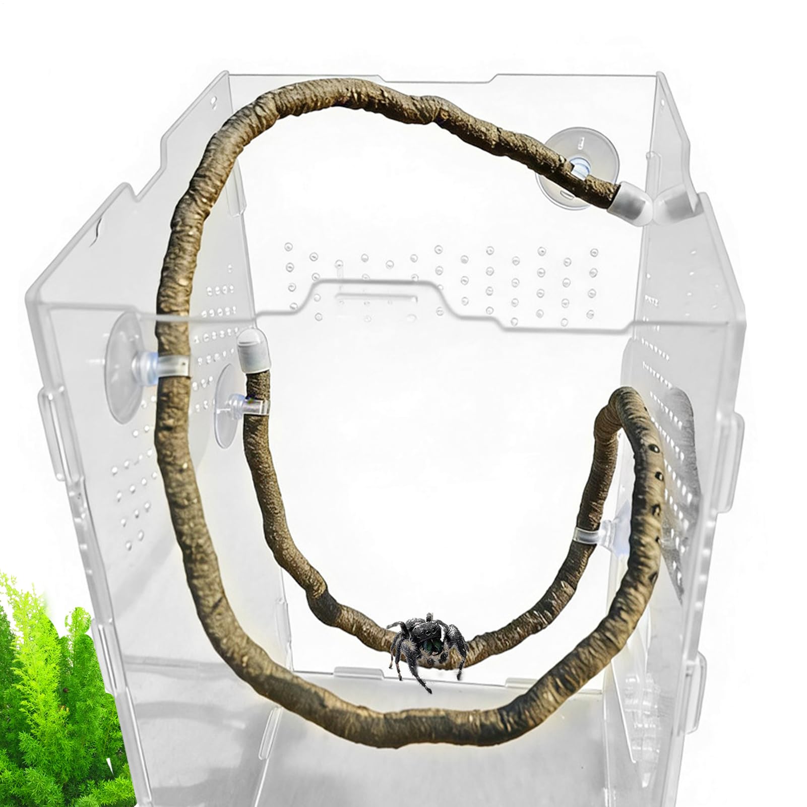 Generico Reptiles – Decoración artificial de liana plegable con ventosas para terrario de reptiles | para terrarios, jaulas, vallas, bañeras domésticas y hábitats para geckos y lagartos