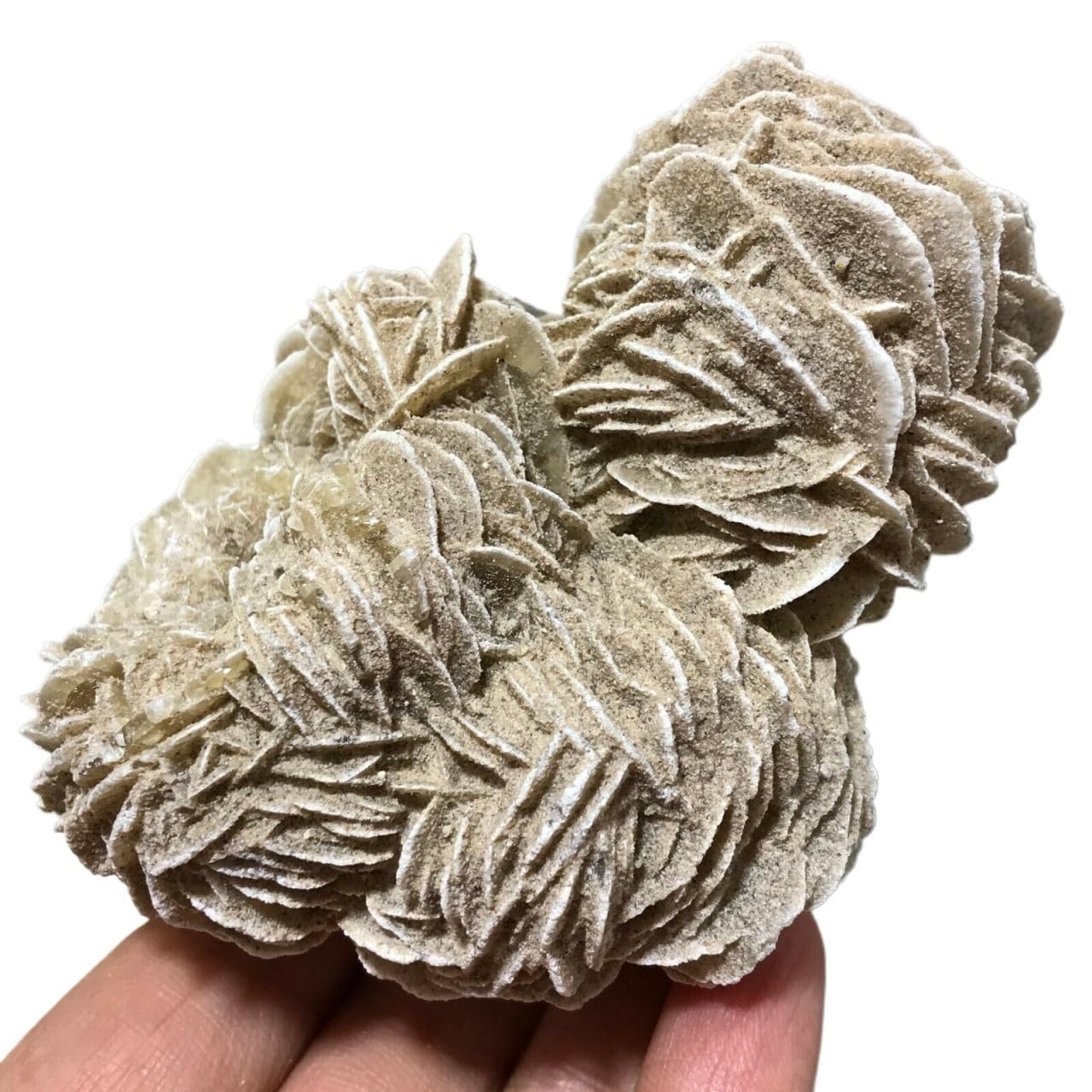 YLQUXEUV Stone Desert Rose Cluster, Selenite Crystal Quartz Rock Collection(Size:20-50g)