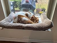 Review Image by Heidi Heidi