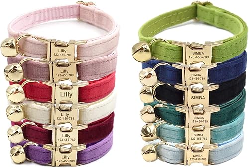 Collar de gato personalizado con hebilla dorada y etiqueta de nombre grabada Collar de gato personalizado con hebilla dorada y etiqueta de nombre grabada