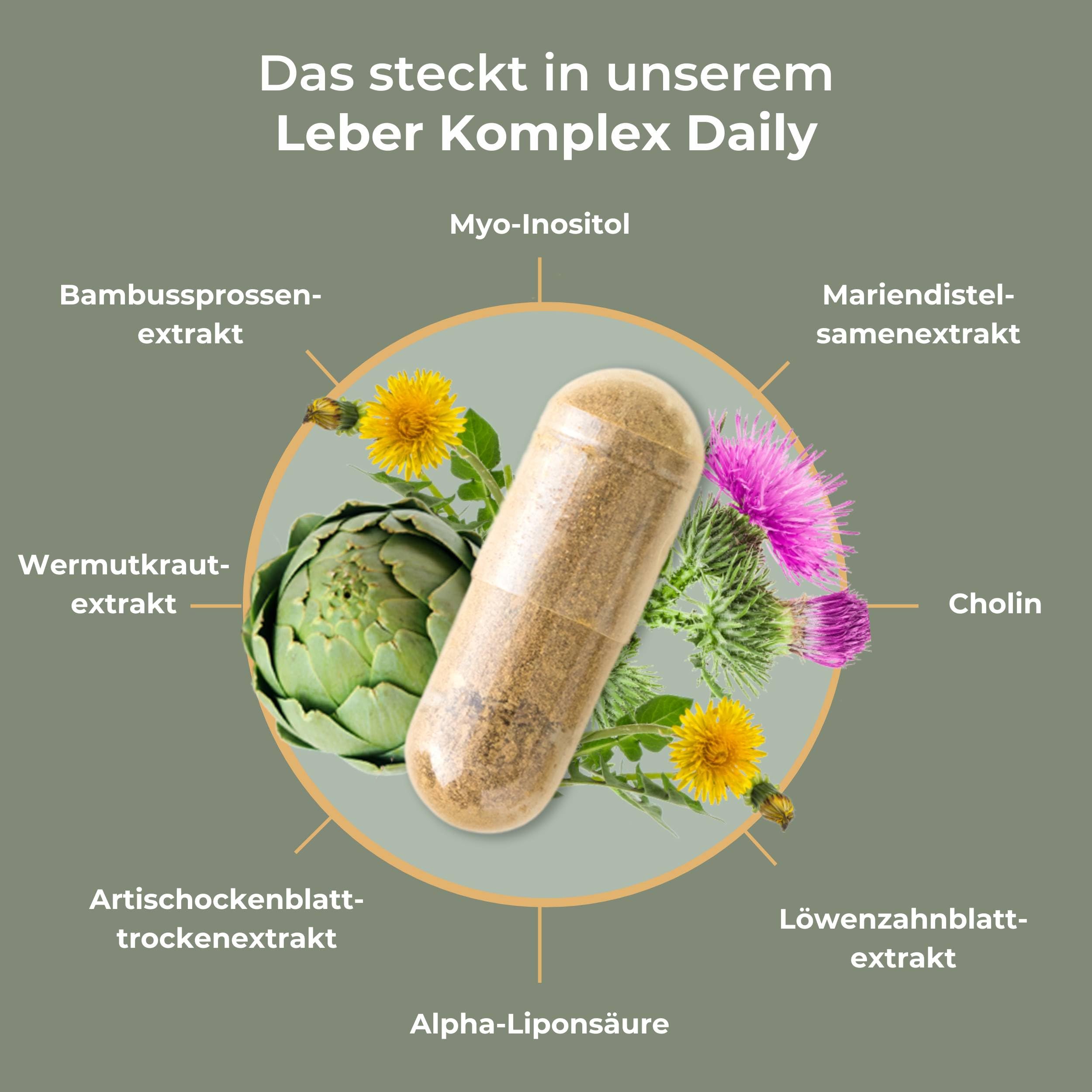 Leber Komplex Daily - 90 Kapseln | Mit Mariendistel, Artischocke, Löwenzahn, Cholin | Laborgeprüft | Ohne Zusätze & Vegan | Mariendistel Kapsel hochdosiert