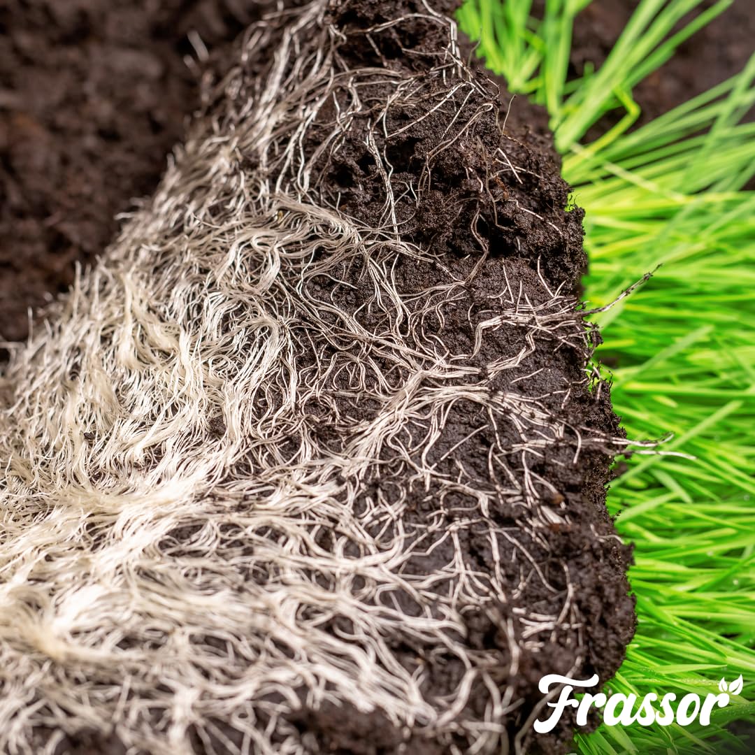 Concentré Équilibre Racinaire - 1L = 1000m² | Stimulateur Racinaire - Renforce Racines Et Absorption Des Nutriments - Frassor