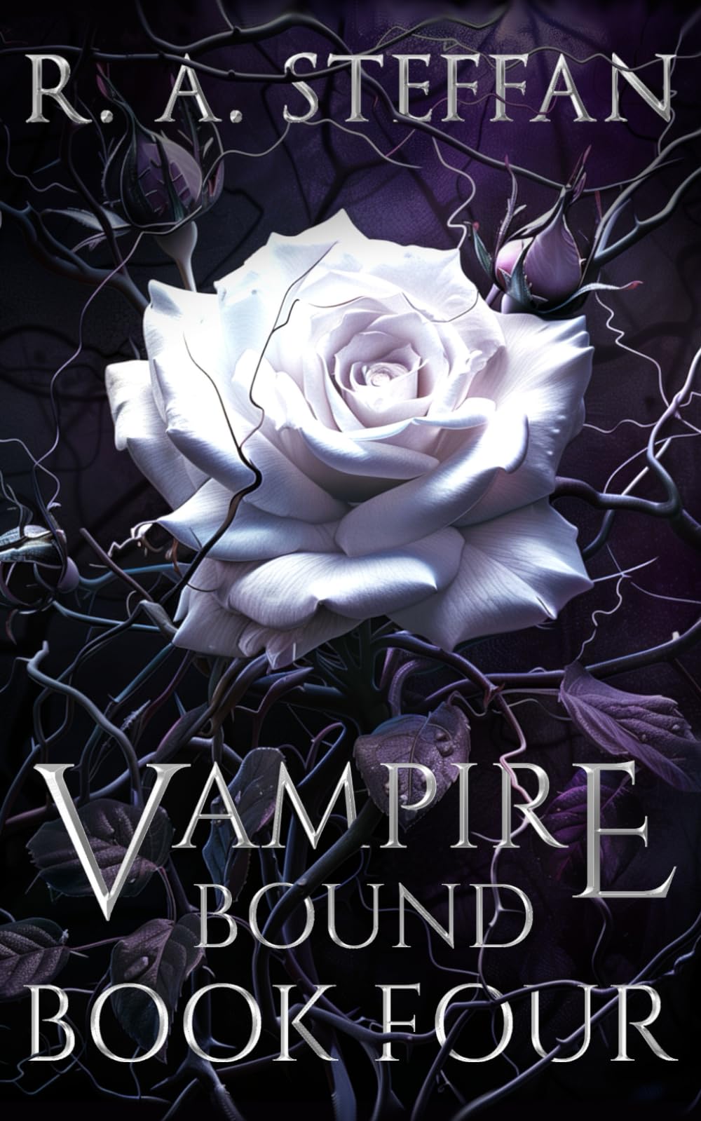Vampire Bound: Book Four