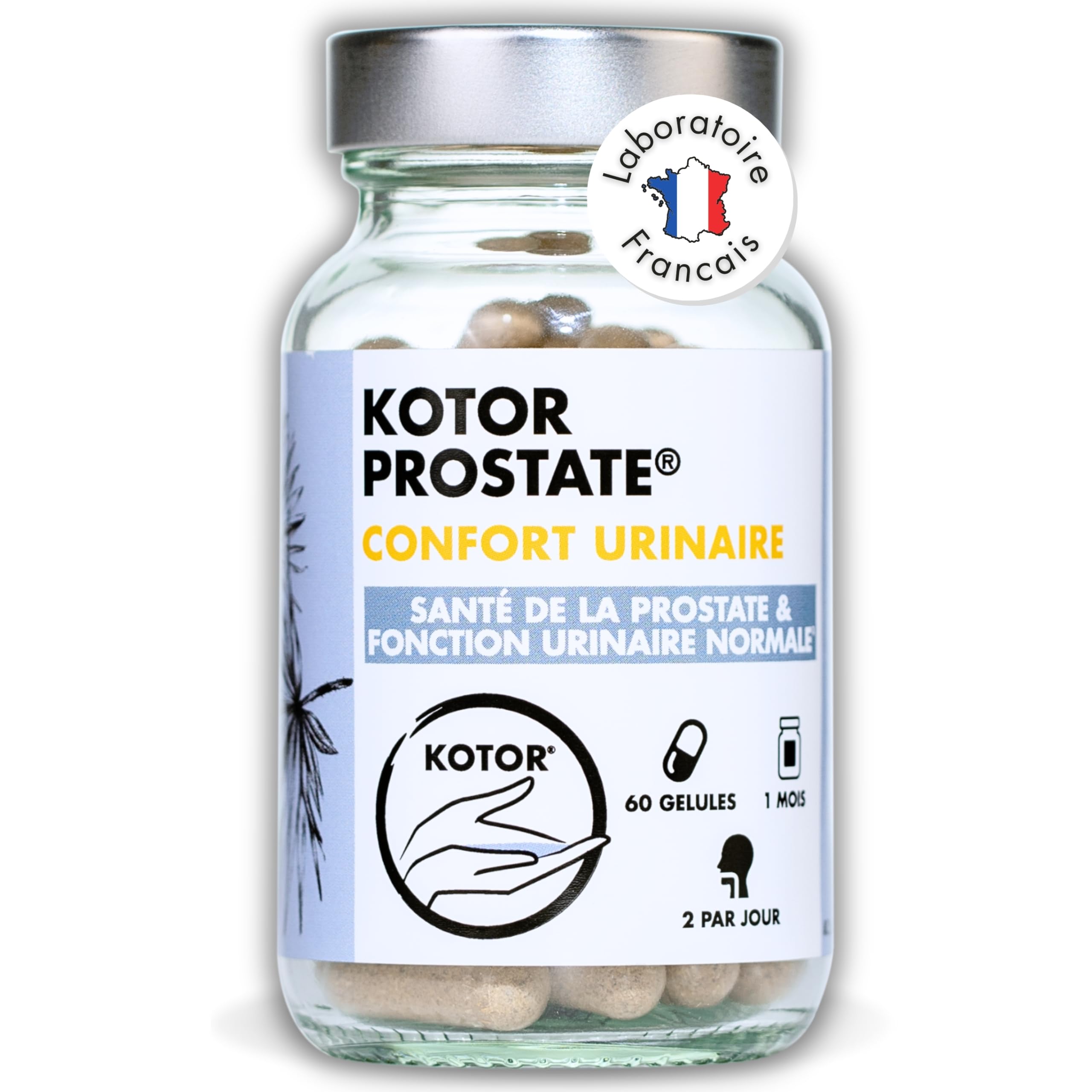 KOTOR PROSTATE | Troubles Urinaires, HBP, Envie Fréquente d’Uriner | Complexe Naturel & Français | Ortie Piquante + Palmier Nain + Prunier d’Afrique | 60 Gélules | 1 Mois
