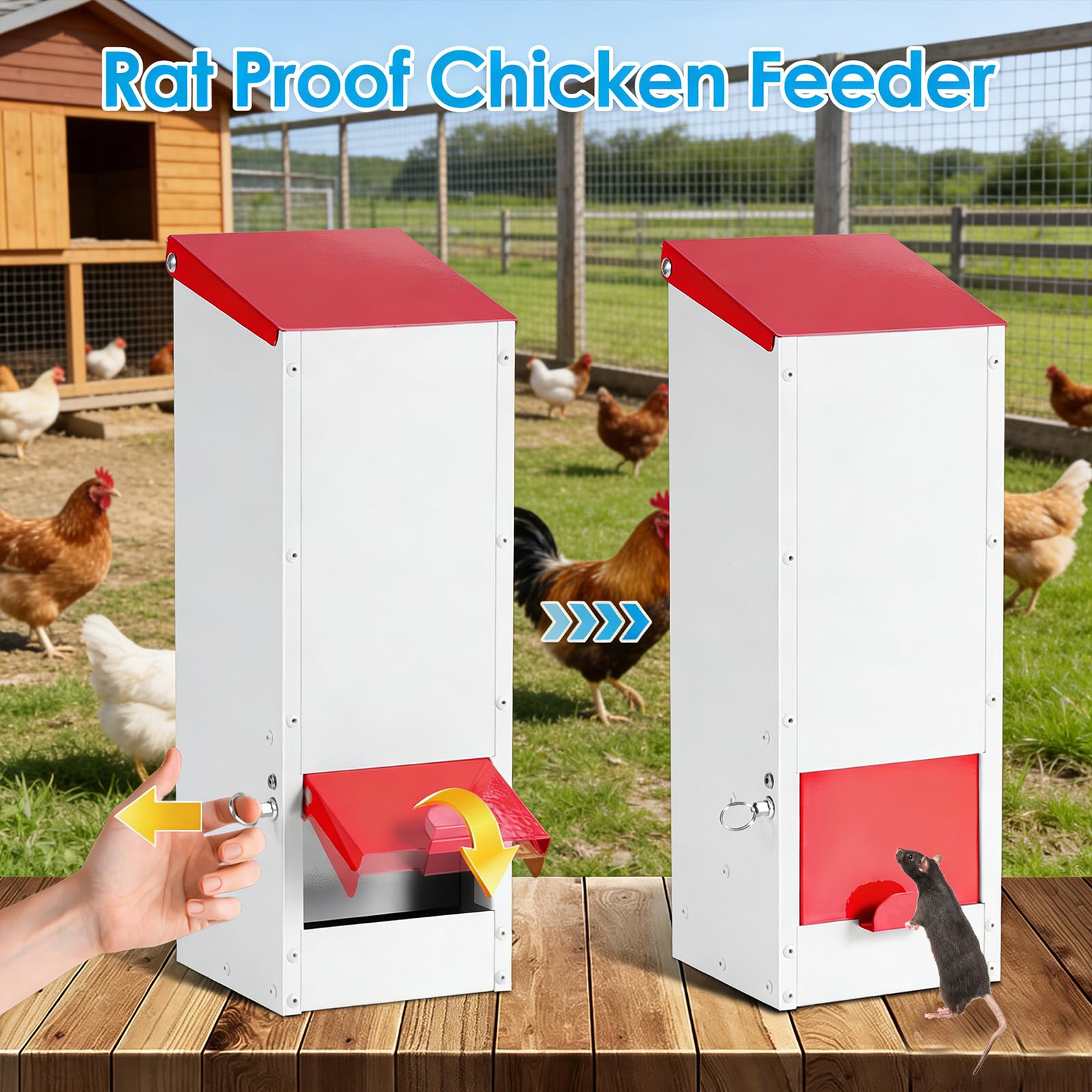 Mangiatoia per Galline a Zincata 3 Kg, Alimentatore Automatico da Appendere, Tramoggia per Polli, Antipioggia Contenitore per Granaglie, Antitopo Antispreco