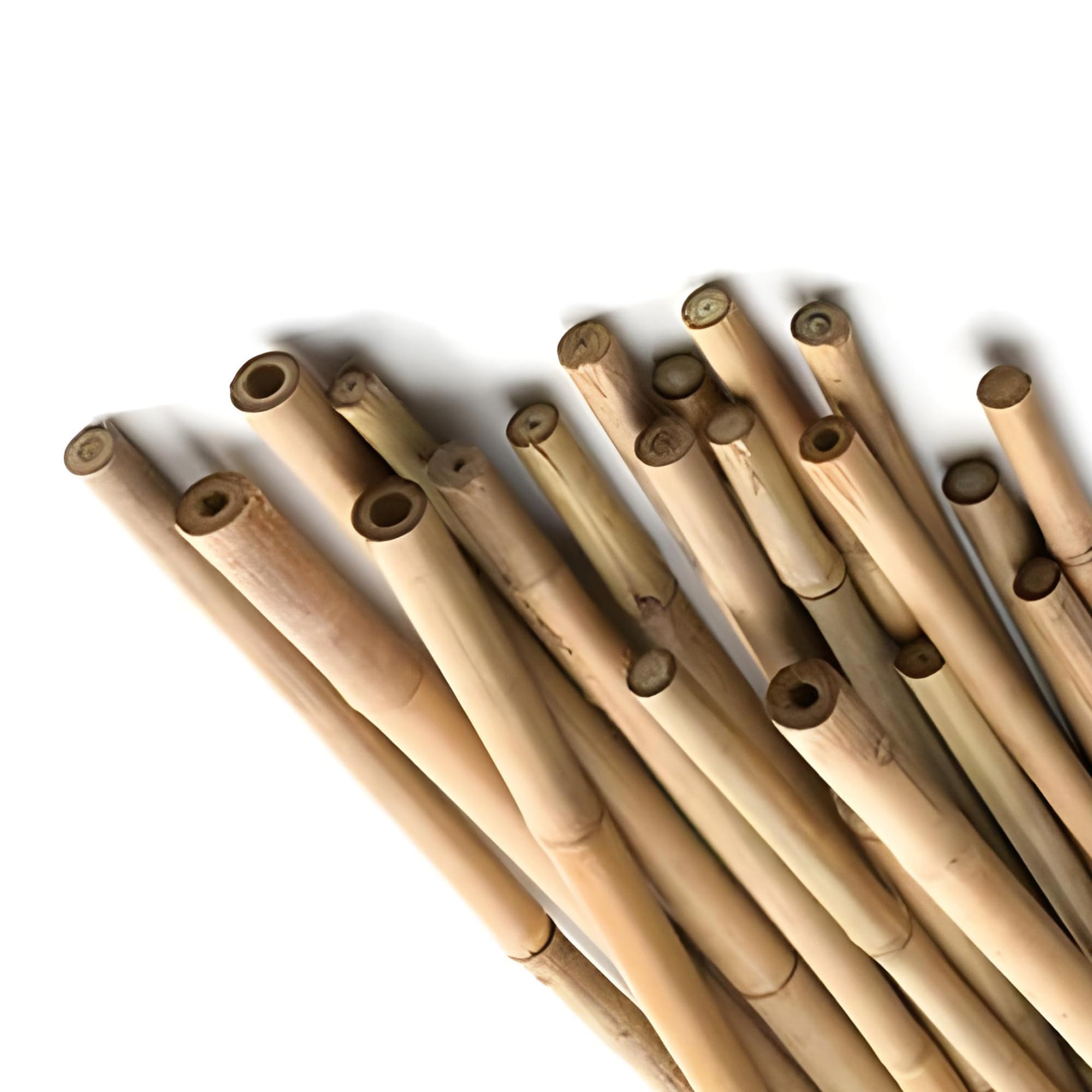 Bamboo Canes 120cm Heavy Duty Bamboo Sticks for Plants Strong Durable Garden Canes for Tomato Plant Support Climbing Plants Fencing & Trellis Weather Resistant Bamboo Sticks & Poles