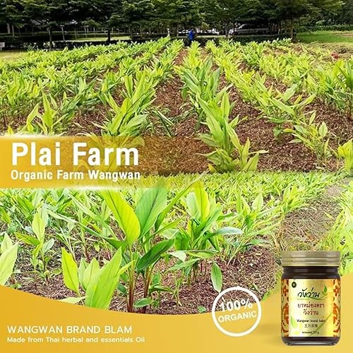 Miniatura 6 de Bálsamo tailandés  Bálsamo de hierbas natural para alivio calmante y relajación, bálsamo de hierbas para espalda, cuello, rodilla, hombro, masaje de