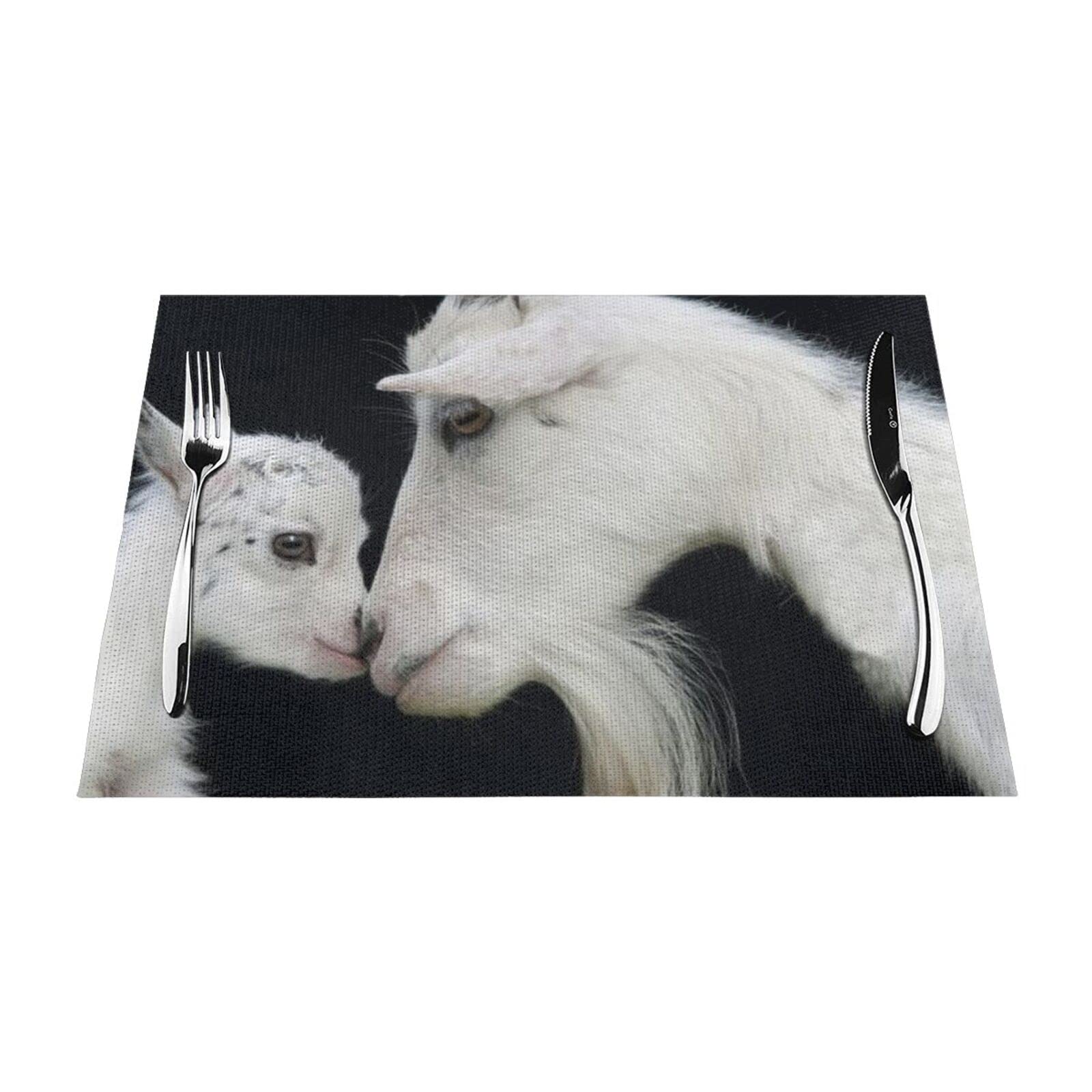 Lot de 6 sets de table tissés en vinyle isolé Motif bébé de chèvre avec mère 30,5 x 45,7 cm