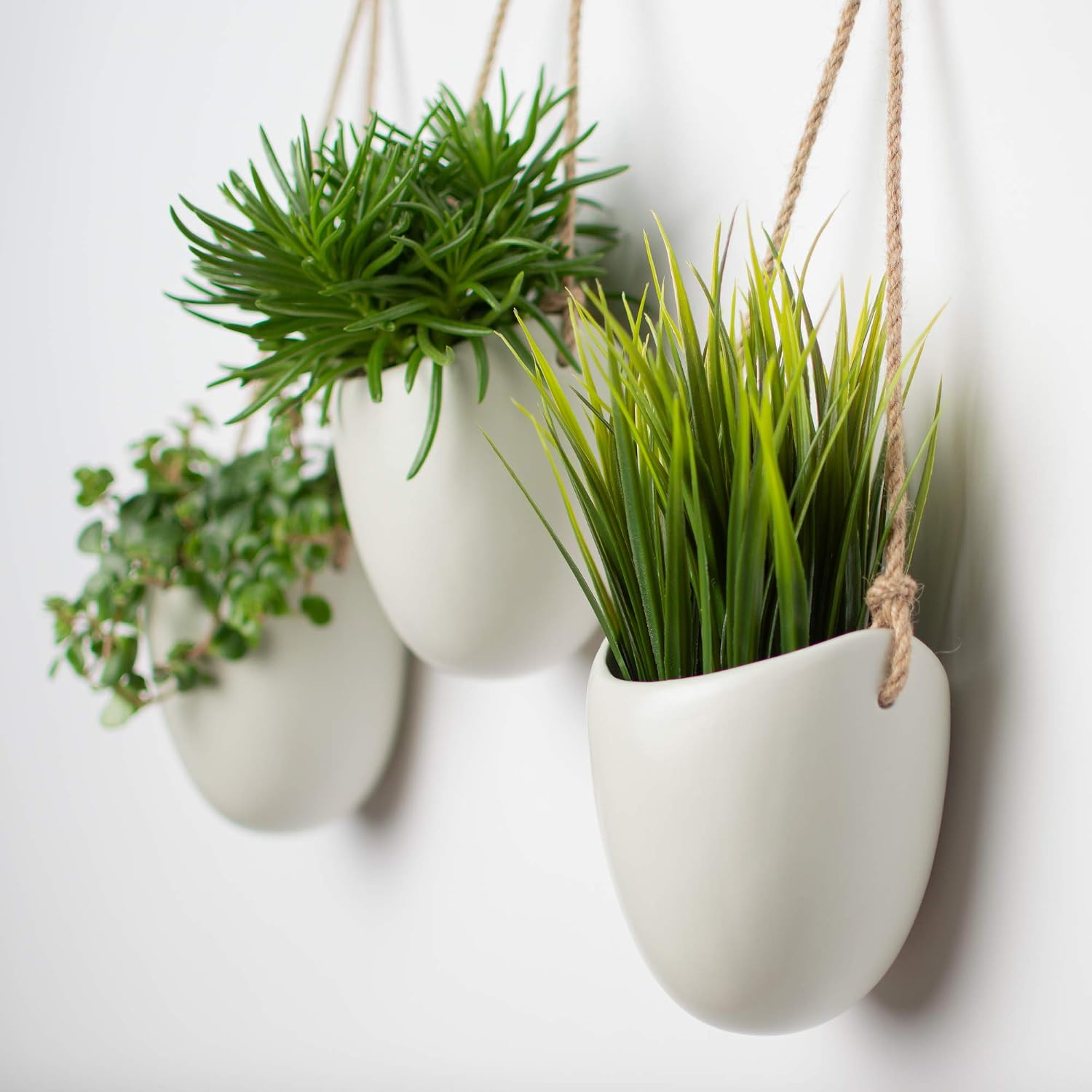 Kazai. Wall Planters -Ellie-, Light Grey (Matte), Set of 3 - Standard - Image 4